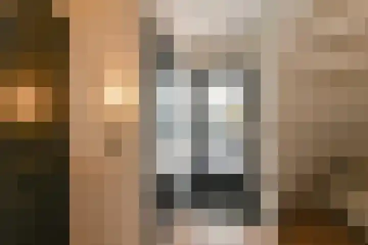 Purperreiger 5 Emmen thumbnail 8