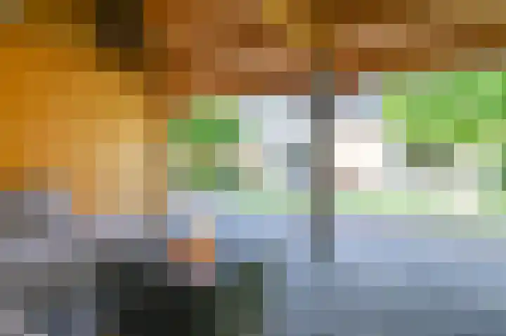 Purperreiger 5 Emmen thumbnail 80