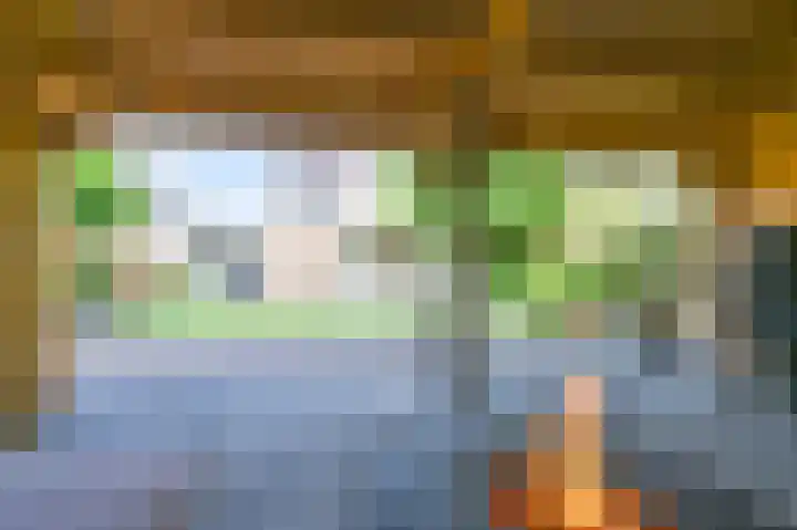 Purperreiger 5 Emmen thumbnail 81