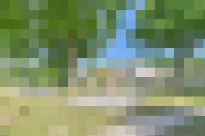 Purperreiger 5 Emmen thumbnail 82
