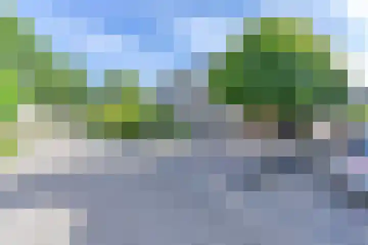 Purperreiger 5 Emmen thumbnail 83