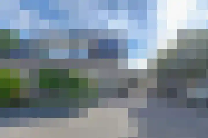 Purperreiger 5 Emmen thumbnail 84