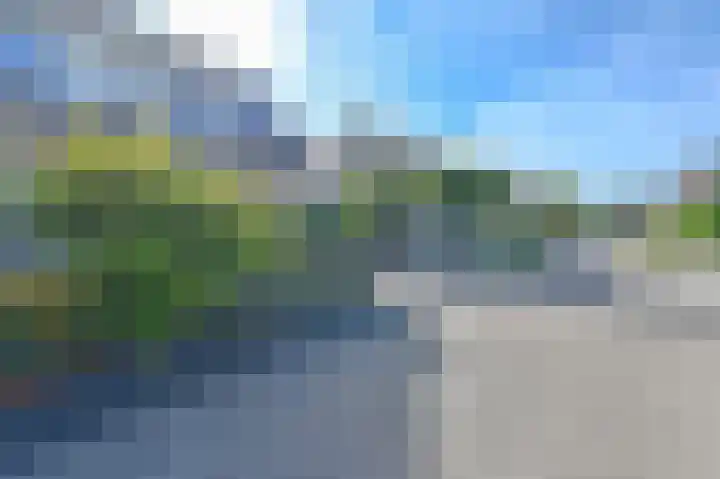 Purperreiger 5 Emmen thumbnail 85