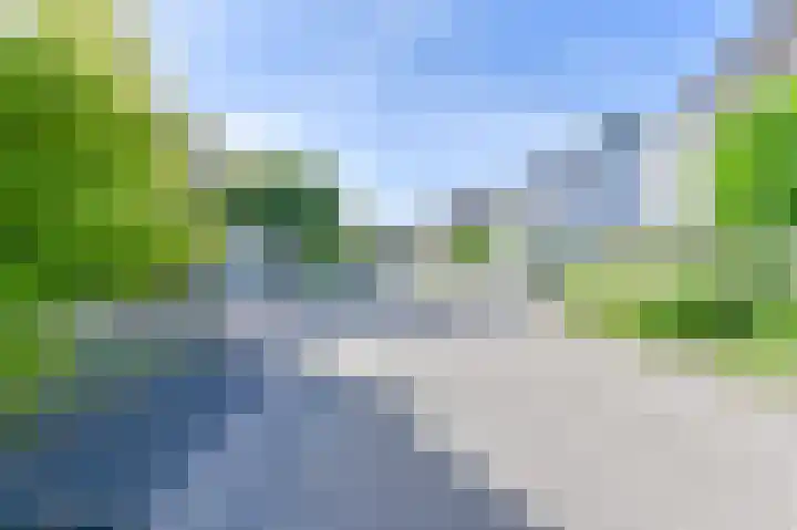 Purperreiger 5 Emmen thumbnail 86