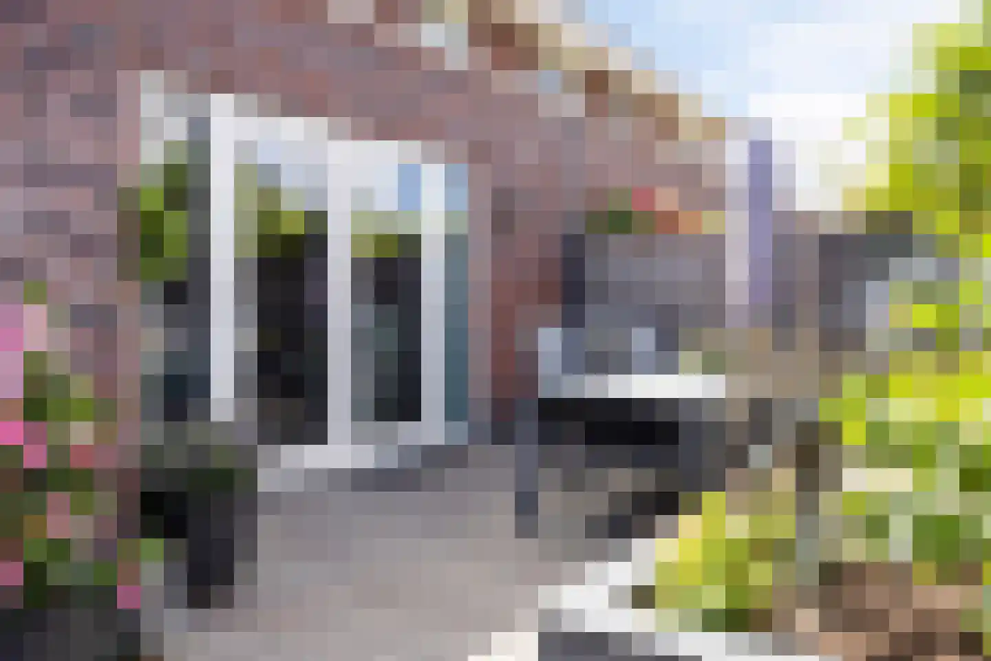 Purperreiger 5 Heerhugowaard thumbnail 33