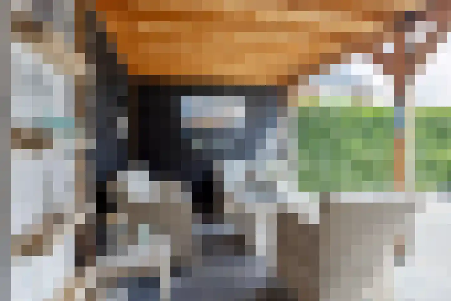 Purperreiger 5 Heerhugowaard thumbnail 35