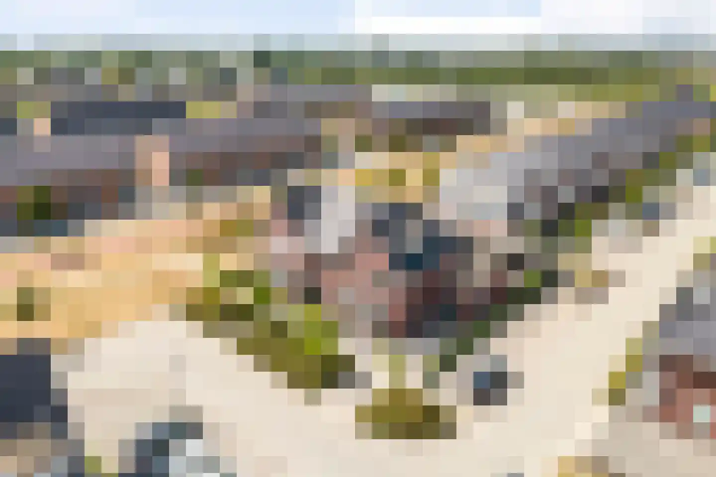 Purperreiger 5 Heerhugowaard thumbnail 43