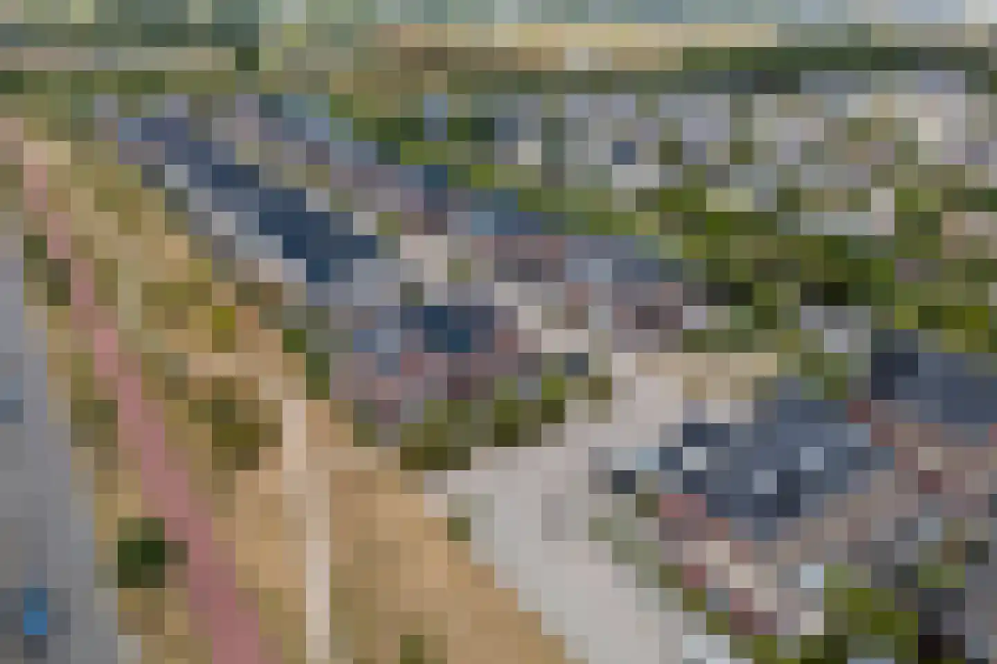 Purperreiger 5 Heerhugowaard thumbnail 44