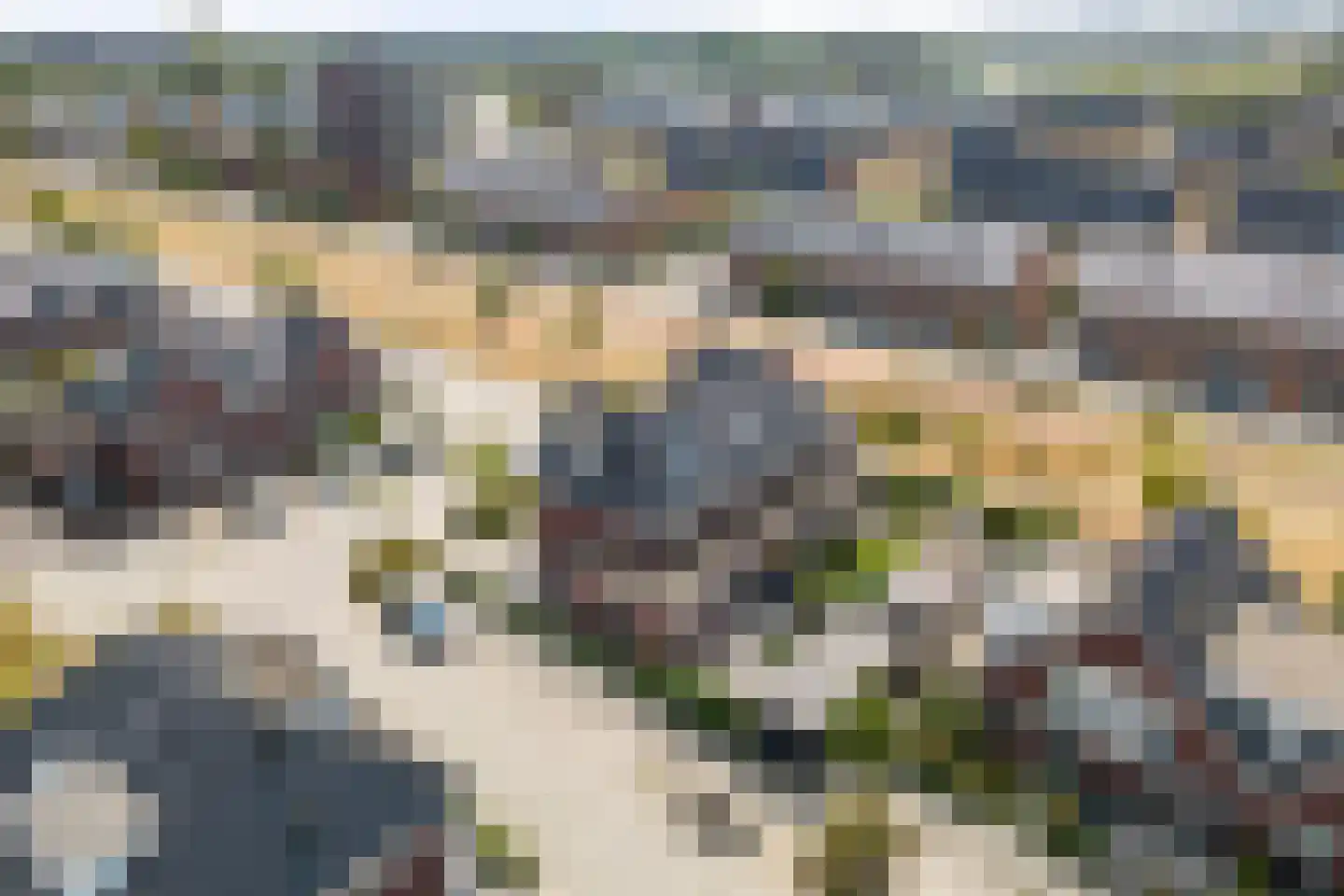 Purperreiger 5 Heerhugowaard thumbnail 45