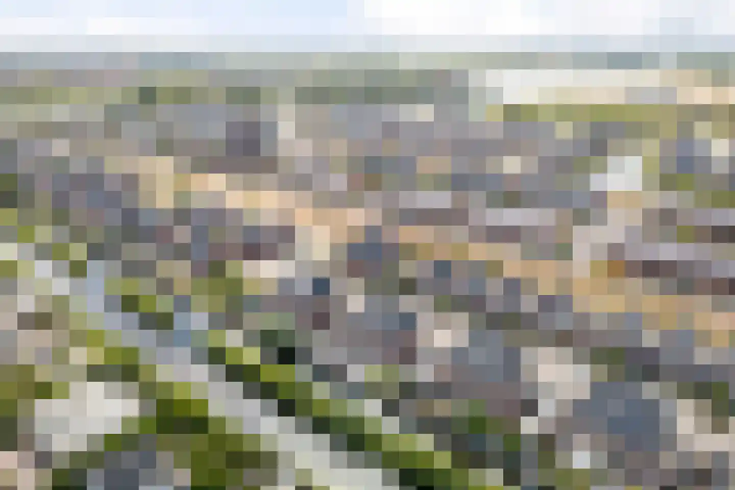 Purperreiger 5 Heerhugowaard thumbnail 46