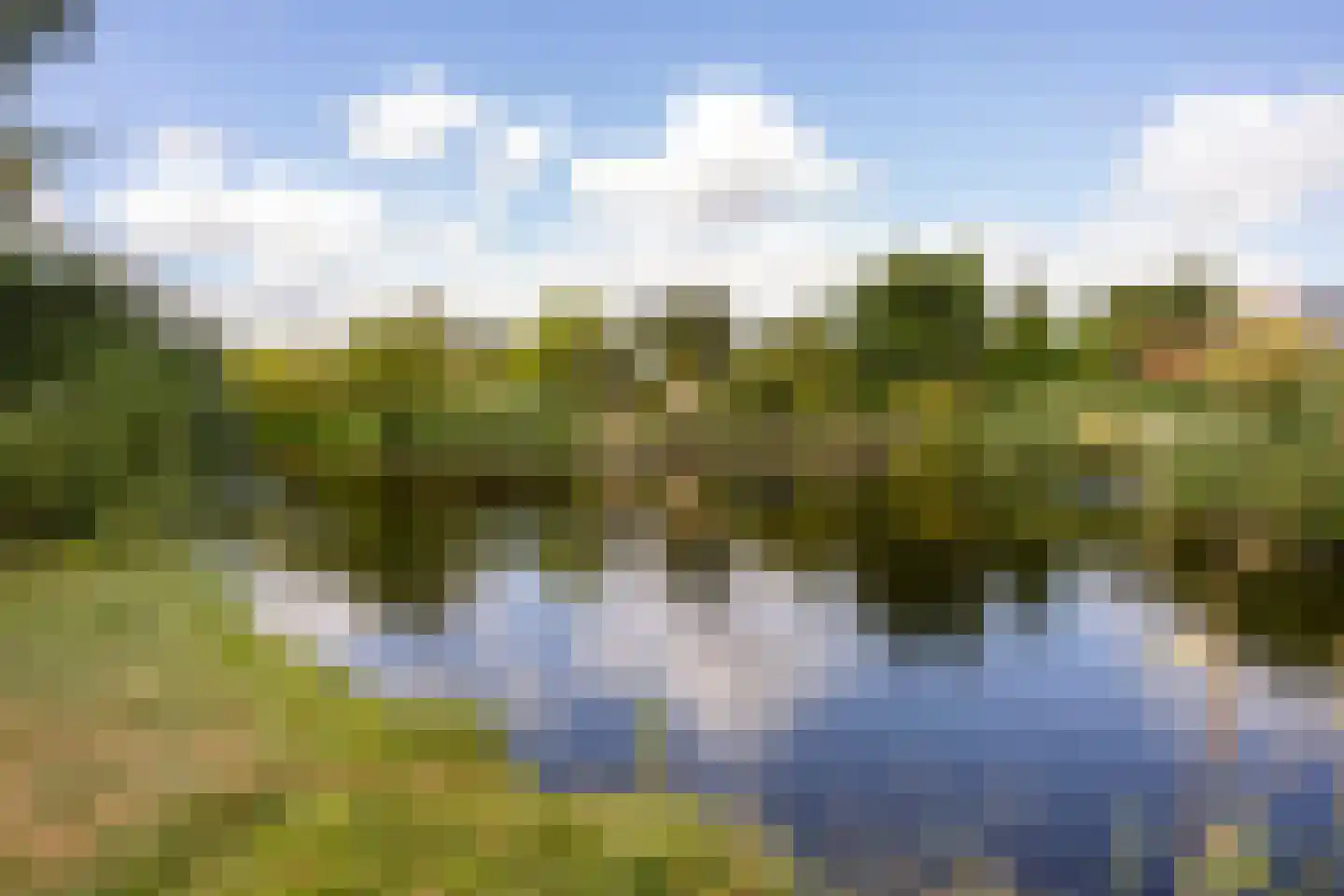 Purperreiger 5 Heerhugowaard thumbnail 49