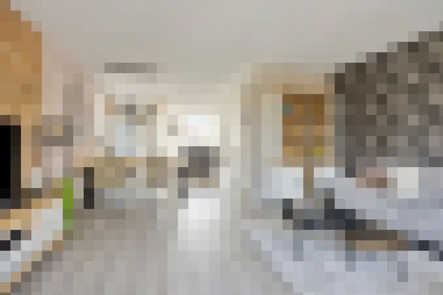 Purperreiger 5 Heerhugowaard thumbnail 5