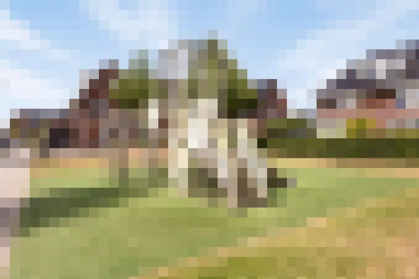 Purperreiger 5 Heerhugowaard thumbnail 51