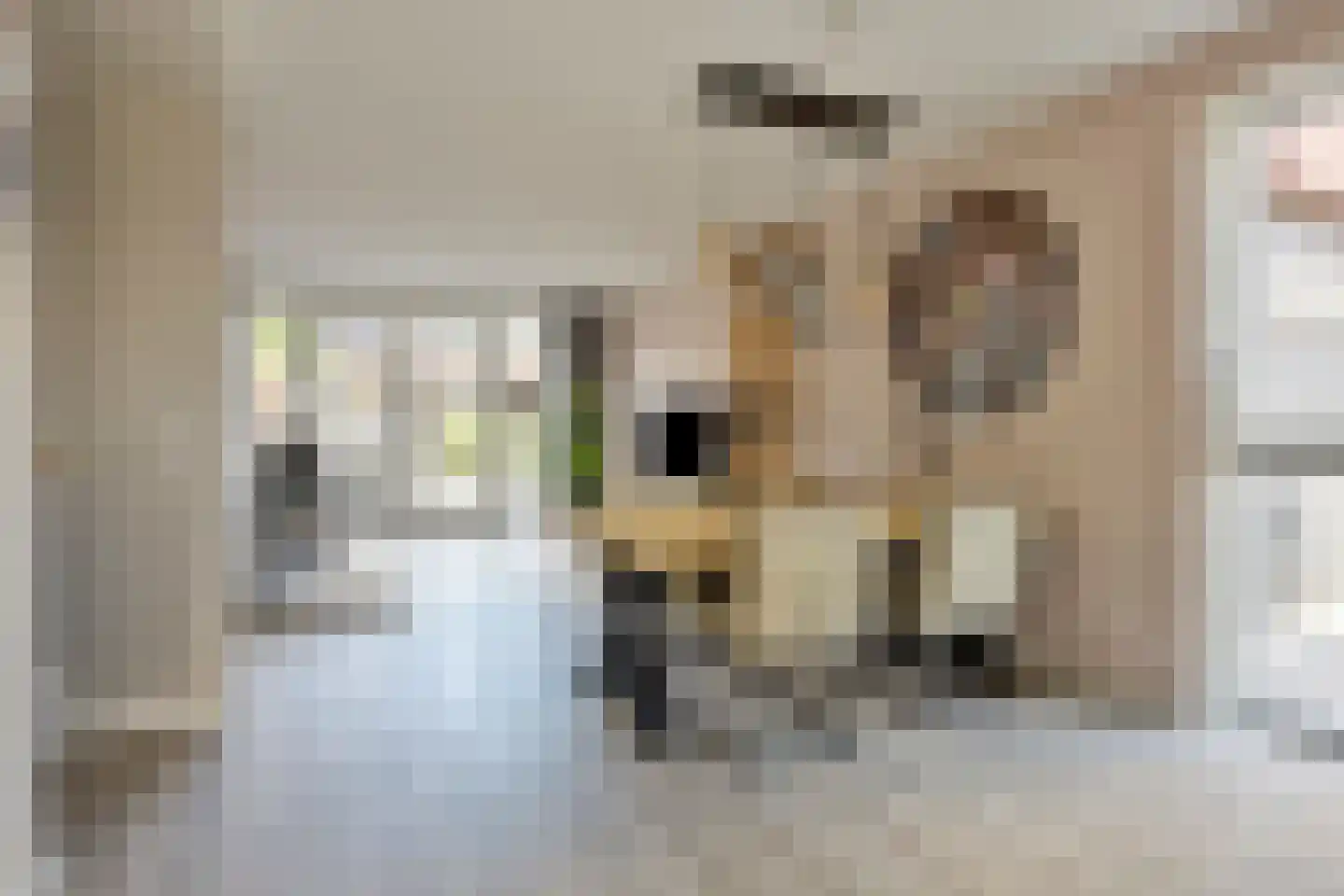 Purperreiger 5 Heerhugowaard thumbnail 6