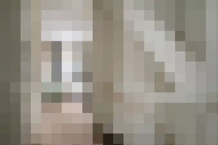 Purperreiger 5 Nieuw-Lekkerland thumbnail 19