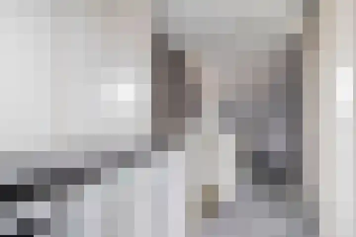 Purperreiger 5 Nieuw-Lekkerland thumbnail 20