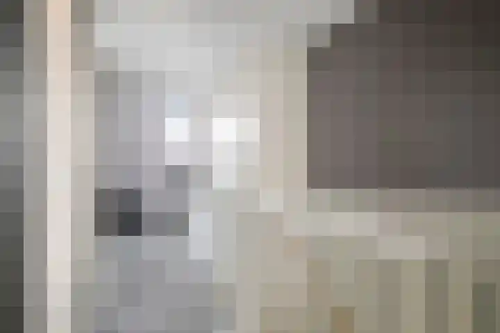 Purperreiger 5 Nieuw-Lekkerland thumbnail 21