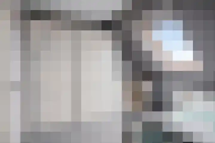 Purperreiger 5 Nieuw-Lekkerland thumbnail 24