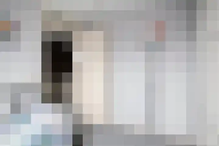 Purperreiger 5 Nieuw-Lekkerland thumbnail 25