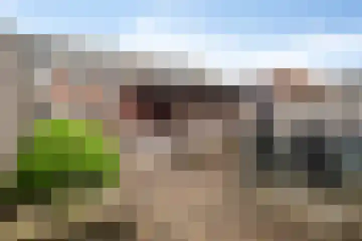 Purperreiger 5 Nieuw-Lekkerland thumbnail 26