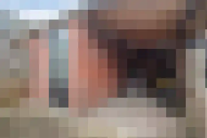 Purperreiger 5 Nieuw-Lekkerland thumbnail 27