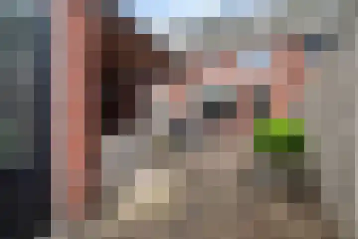 Purperreiger 5 Nieuw-Lekkerland thumbnail 28