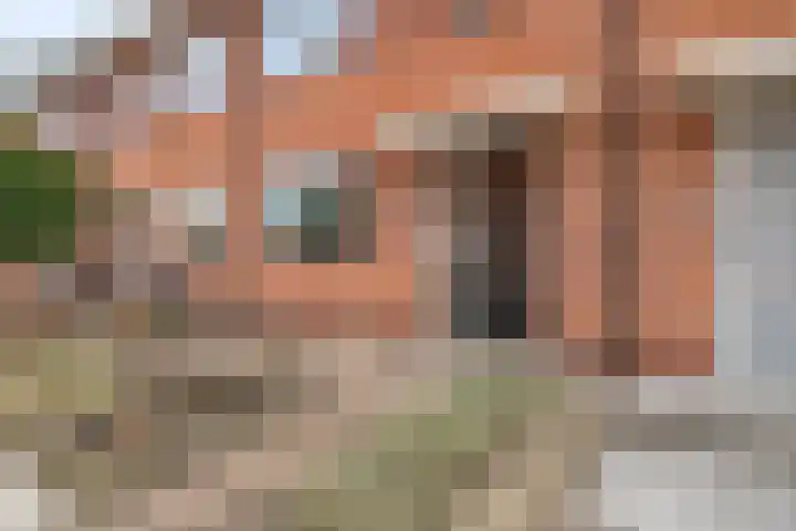 Purperreiger 5 Nieuw-Lekkerland thumbnail 29