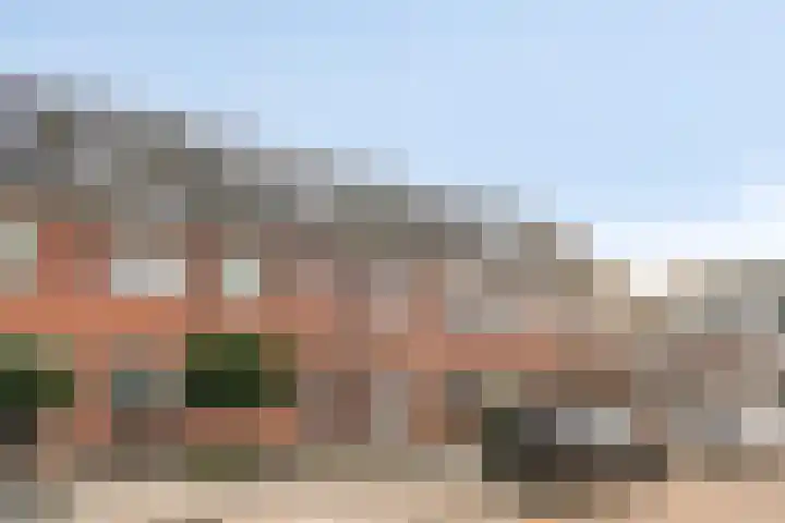 Purperreiger 5 Nieuw-Lekkerland thumbnail 30