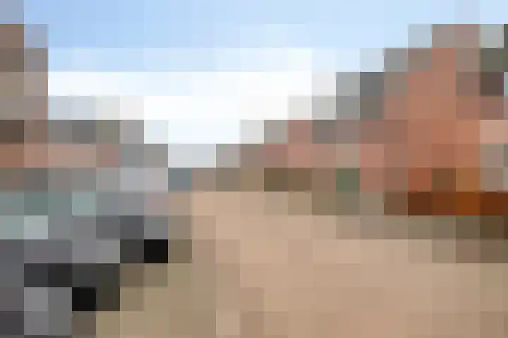 Purperreiger 5 Nieuw-Lekkerland thumbnail 31