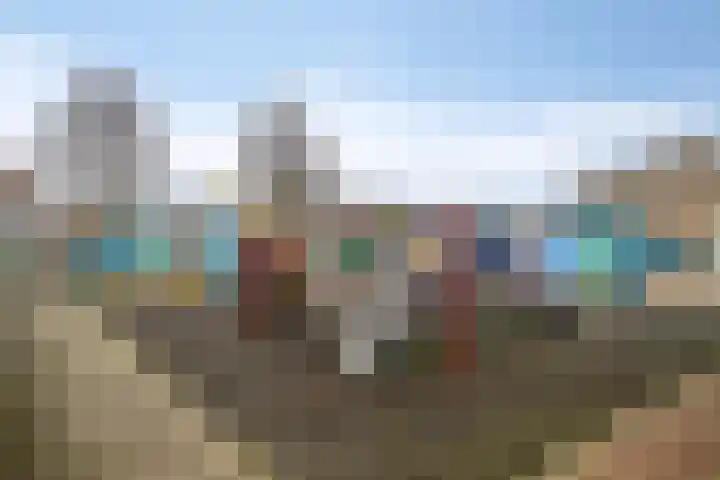 Purperreiger 5 Nieuw-Lekkerland thumbnail 32