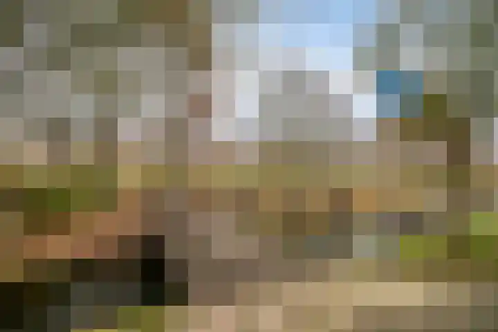 Purperreiger 5 Nieuw-Lekkerland thumbnail 33