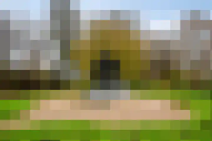 Purperreiger 5 Nieuw-Lekkerland thumbnail 34