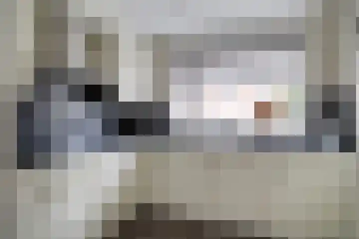 Purperreiger 5 Nieuw-Lekkerland thumbnail 6