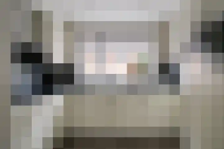 Purperreiger 5 Nieuw-Lekkerland thumbnail 7