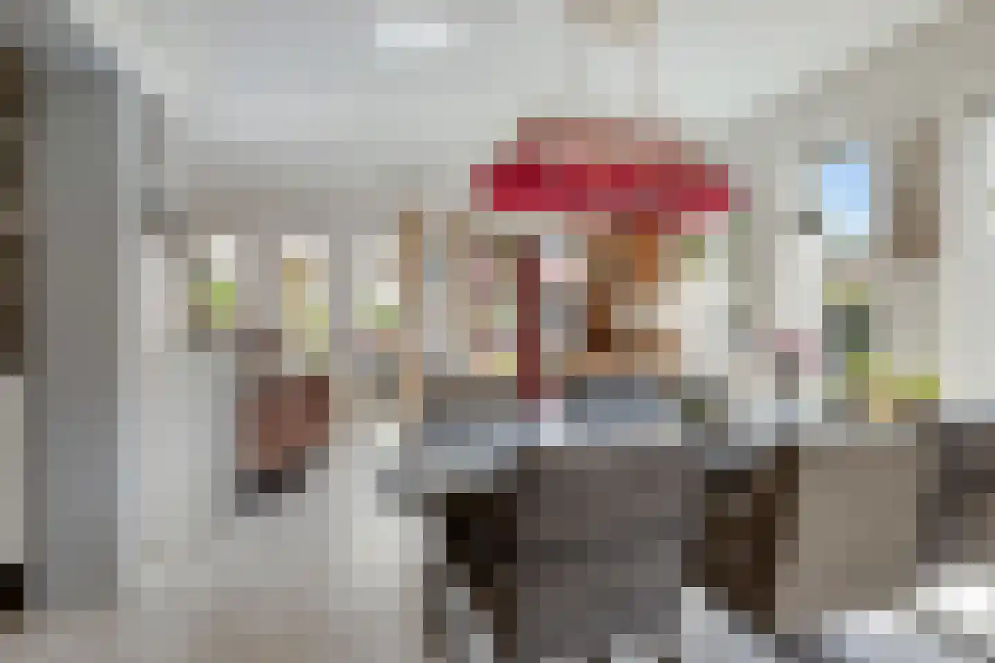 Purperreiger 5 Wildervank thumbnail 30