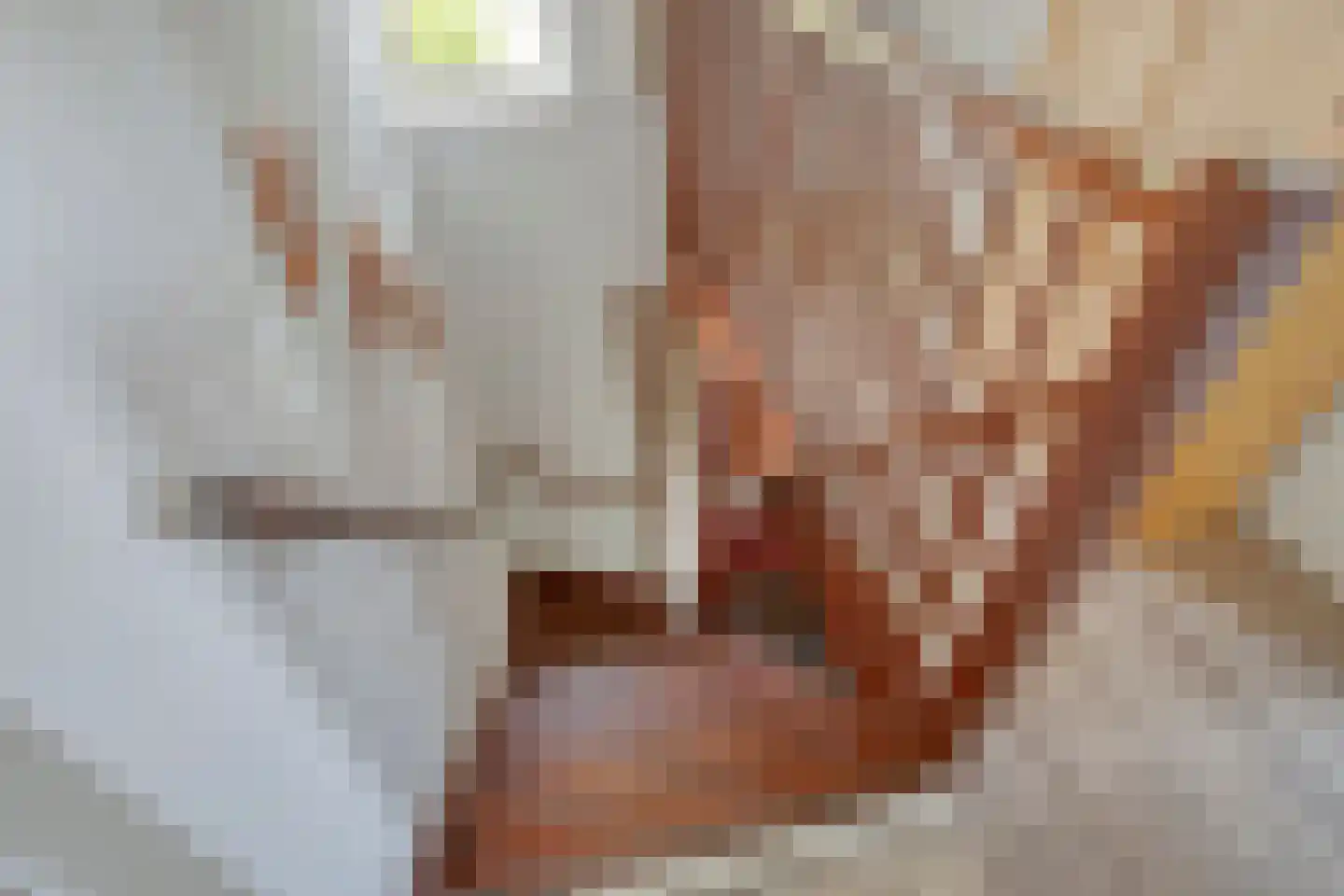Purperreiger 5 Wildervank thumbnail 37