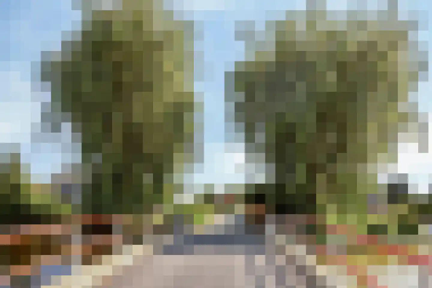 Purperreiger 5 Wildervank thumbnail 5