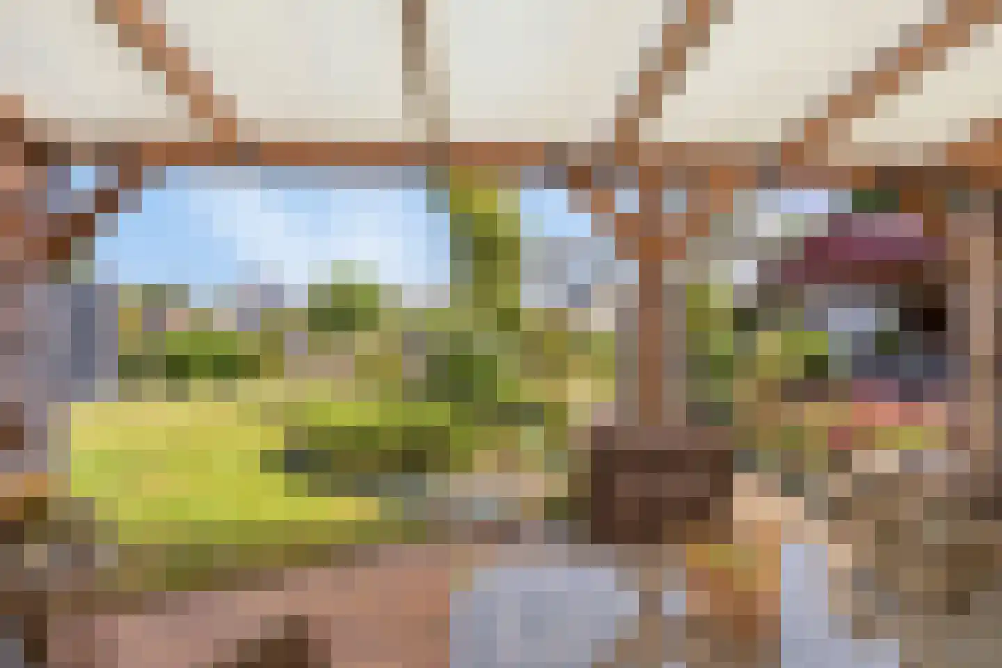 Purperreiger 5 Wildervank thumbnail 52