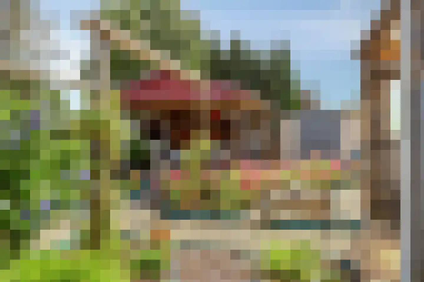 Purperreiger 5 Wildervank thumbnail 54