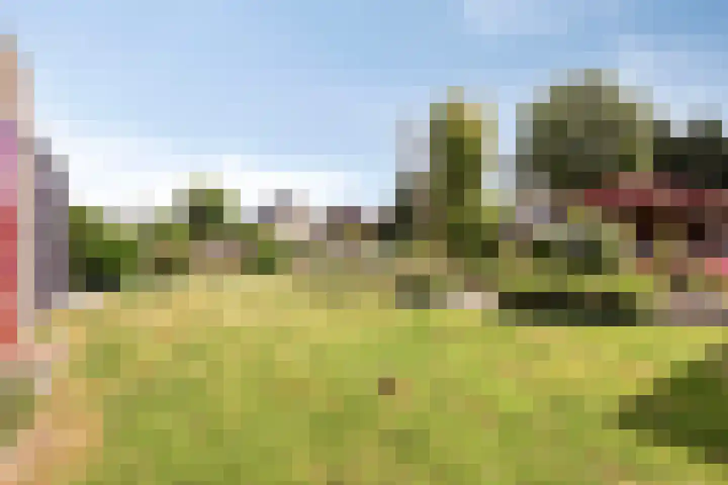 Purperreiger 5 Wildervank thumbnail 55