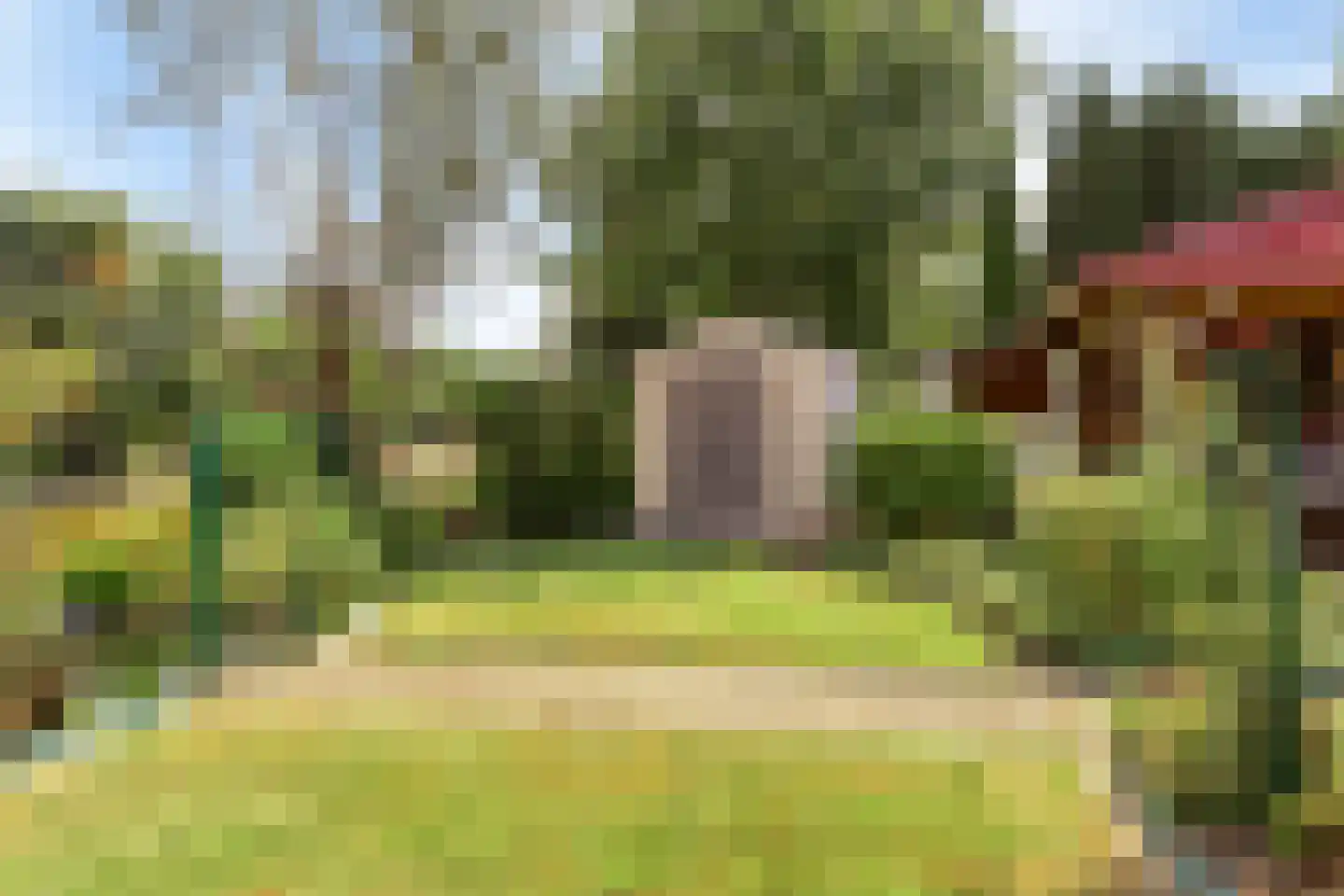 Purperreiger 5 Wildervank thumbnail 57