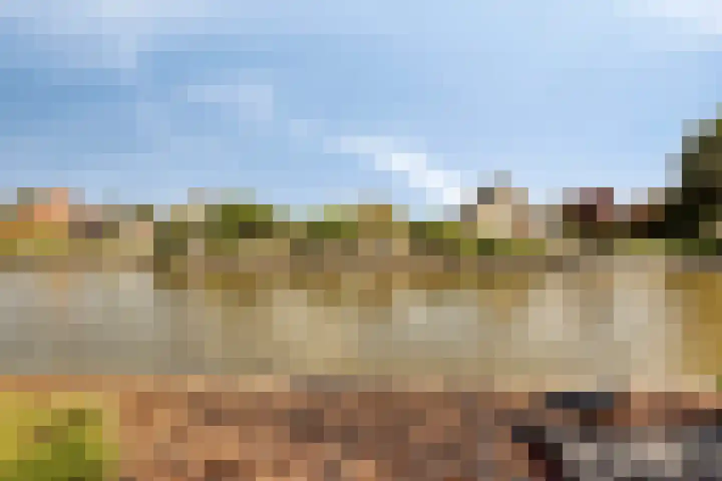 Purperreiger 5 Wildervank thumbnail 58