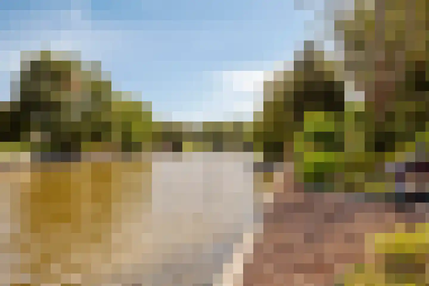 Purperreiger 5 Wildervank thumbnail 59