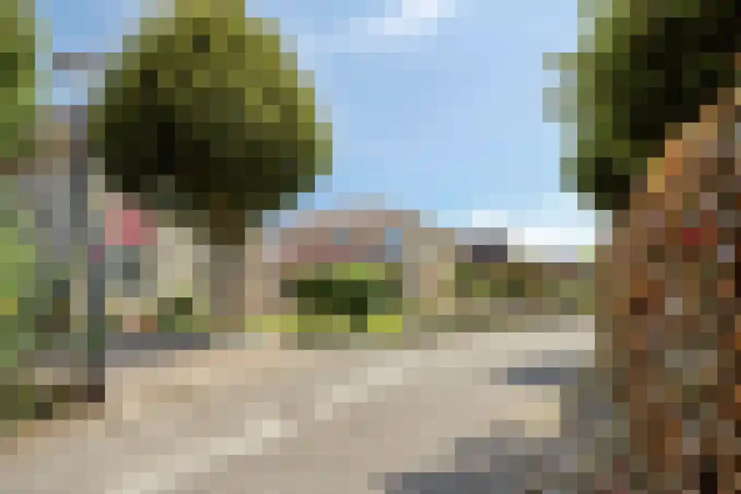 Purperreiger 5 Wildervank thumbnail 6