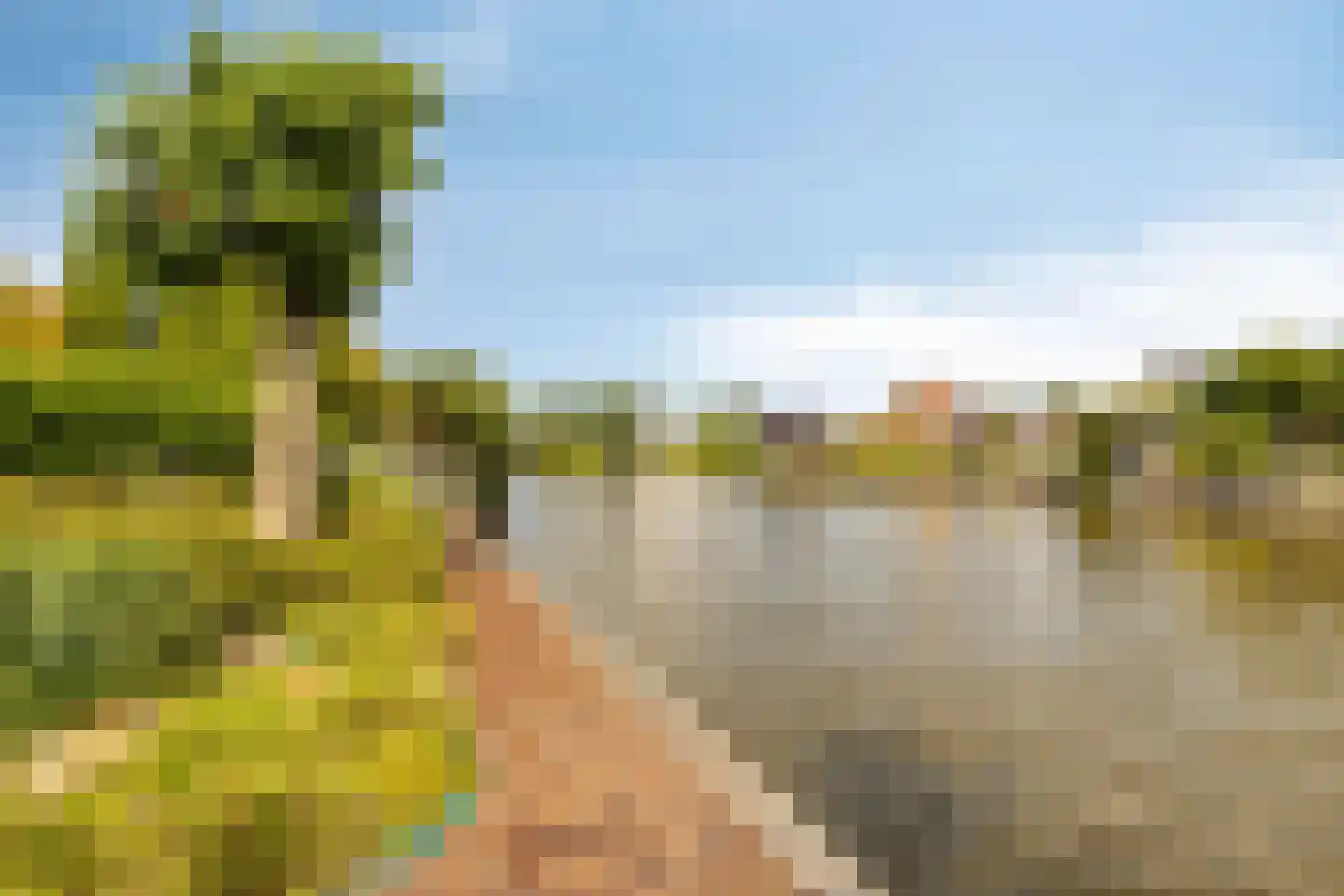 Purperreiger 5 Wildervank thumbnail 60