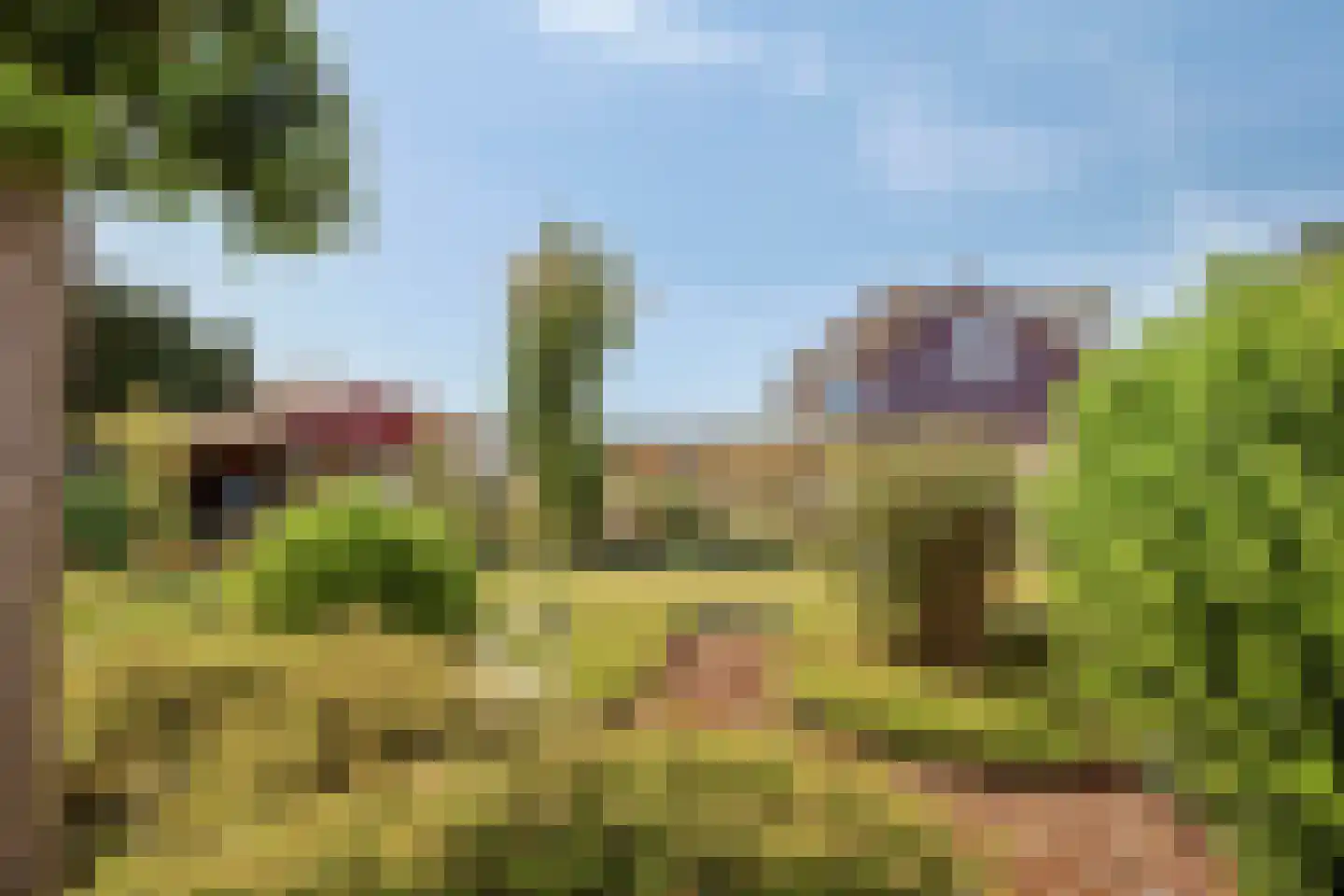 Purperreiger 5 Wildervank thumbnail 61