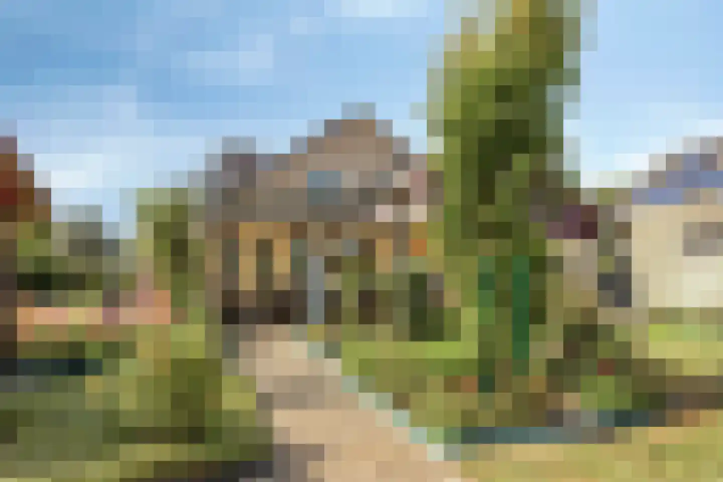 Purperreiger 5 Wildervank thumbnail 63