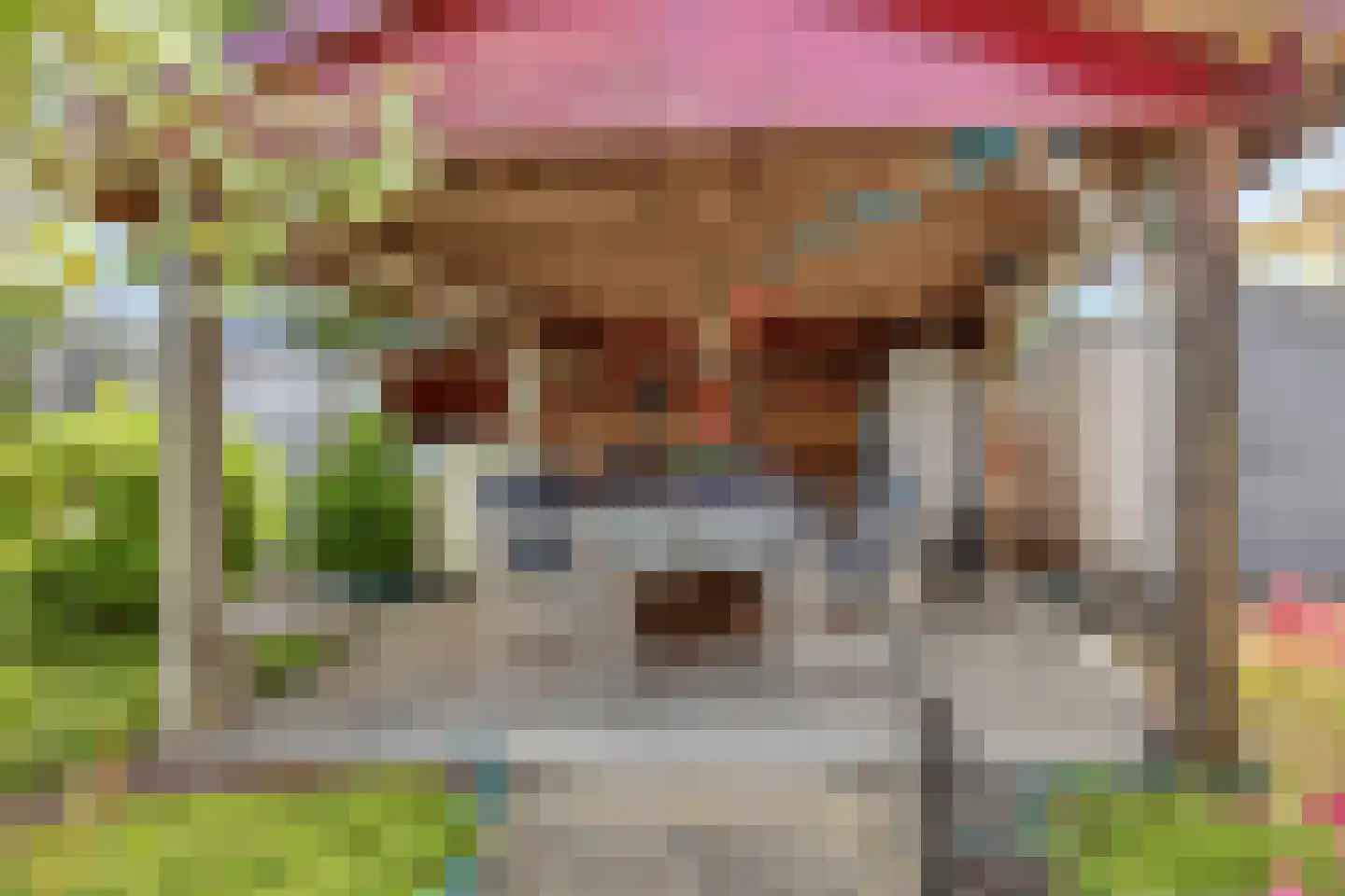 Purperreiger 5 Wildervank thumbnail 66