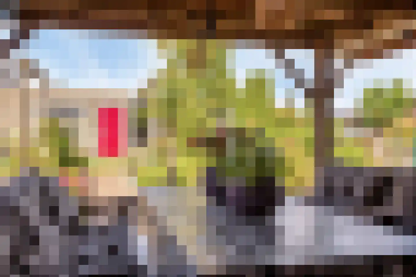 Purperreiger 5 Wildervank thumbnail 67