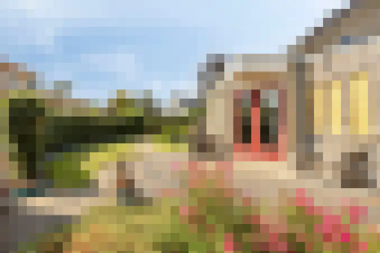 Purperreiger 5 Wildervank thumbnail 68